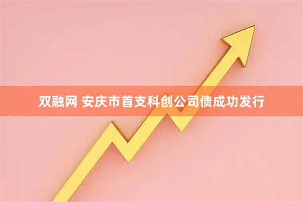 双融网 安庆市首支科创公司债成功发行