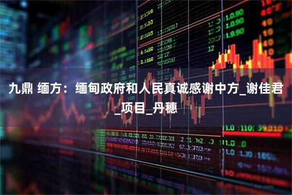 九鼎 缅方：缅甸政府和人民真诚感谢中方_谢佳君_项目_丹穗