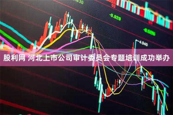 股利网 河北上市公司审计委员会专题培训成功举办
