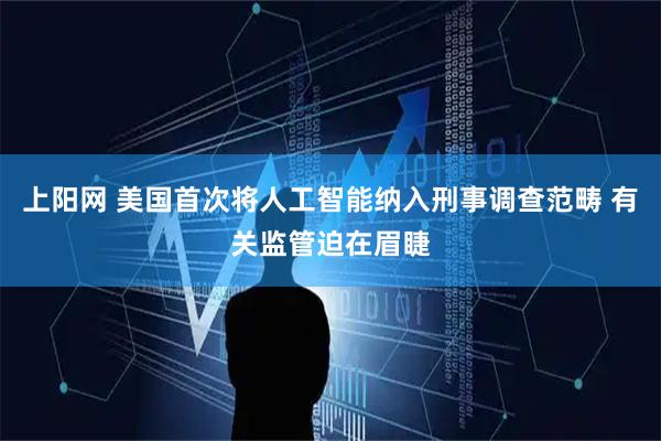 上阳网 美国首次将人工智能纳入刑事调查范畴 有关监管迫在眉睫